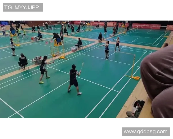 成都羽毛球队近期状态深度对比分析及未来发展趋势探讨 成都羽毛球队近期状态深度对比分析及未来发展趋势探讨