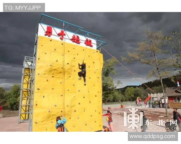 梦中与足球明星同场竞技体验激情与荣耀的奇妙旅程 梦中与足球明星同场竞技体验激情与荣耀的奇妙旅程