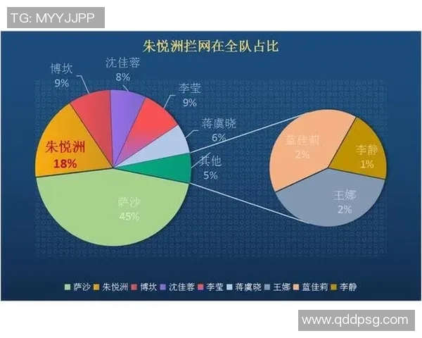 数据分析：广州排球队的实力表现
