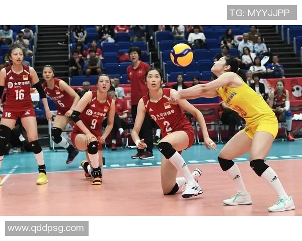 排球实力排名：北京排球队创新高