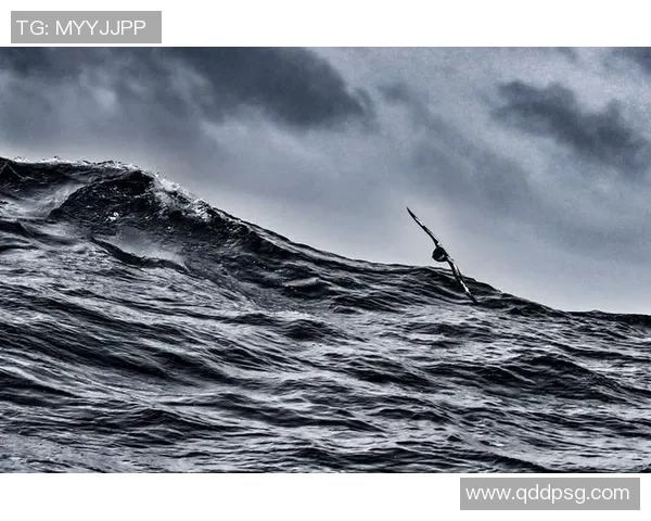 极限运动新手攻略:速度入门指南 极限运动新手攻略:速度入门指南