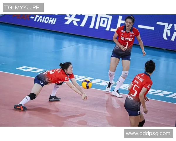 数据分析:深圳排球队的实力表现 数据分析:深圳排球队的实力表现