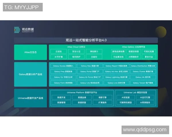 独家分析:重庆羽毛球队的团队协作对比 独家分析:重庆羽毛球队的团队协作对比