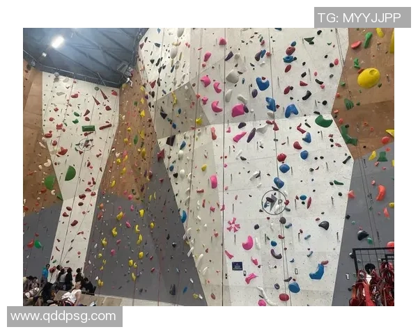 攀岩新手攻略：实力入门指南