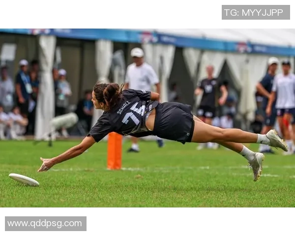 飞盘专题:聚焦成都飞盘队的力量 飞盘专题:聚焦成都飞盘队的力量